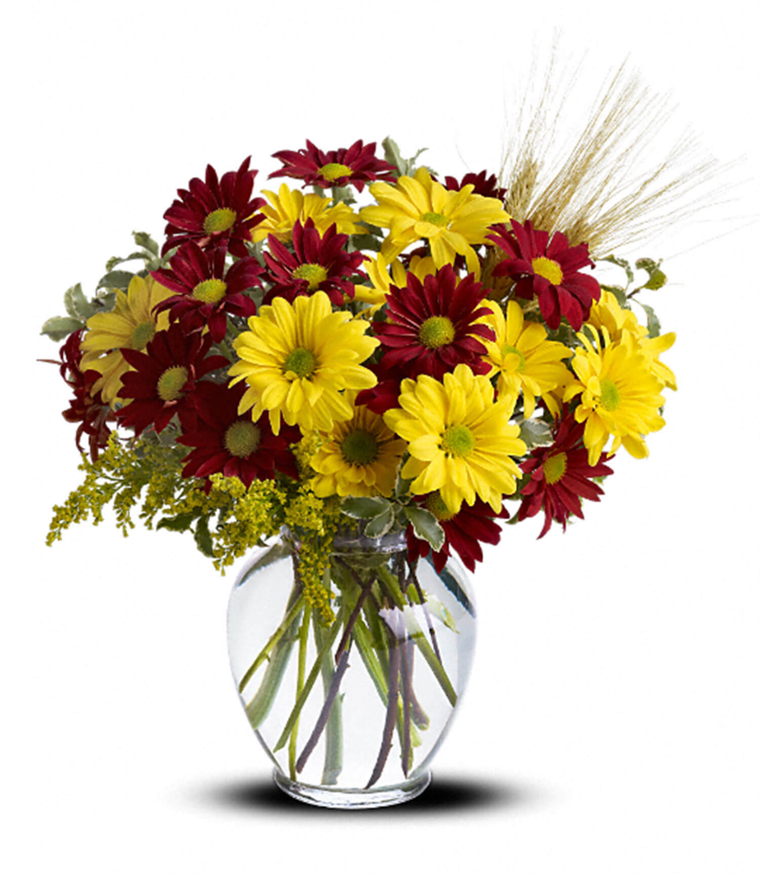 Fall For Daisies Bouquet Terrafolia Flowers